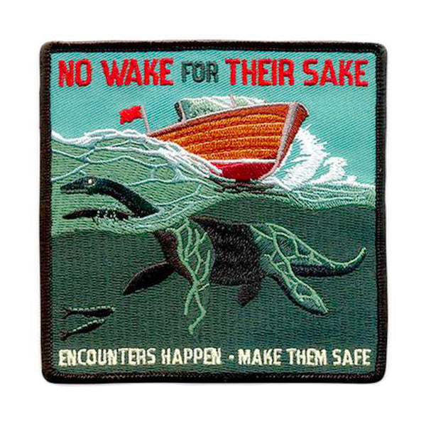 Boat Safety PSA Patch